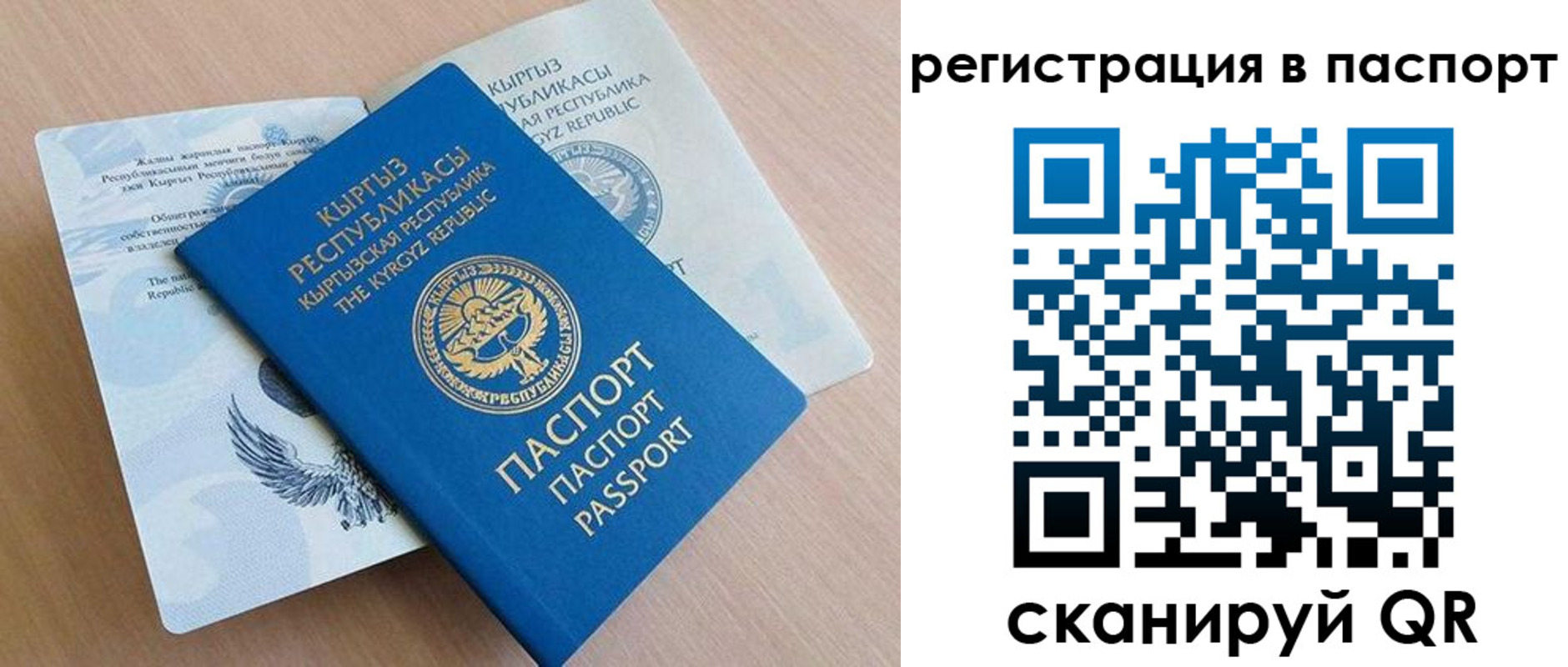 прописка законно в Мурманской области